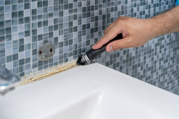 Office Mold Removal Services in Lenoir City, TN